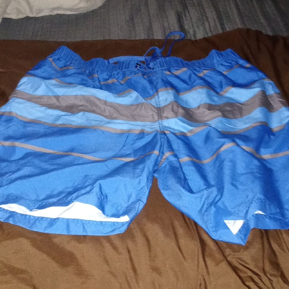 Blue Striped Men's Swim Shorts